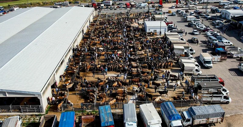 Kurban pazarlarında telaş başladı