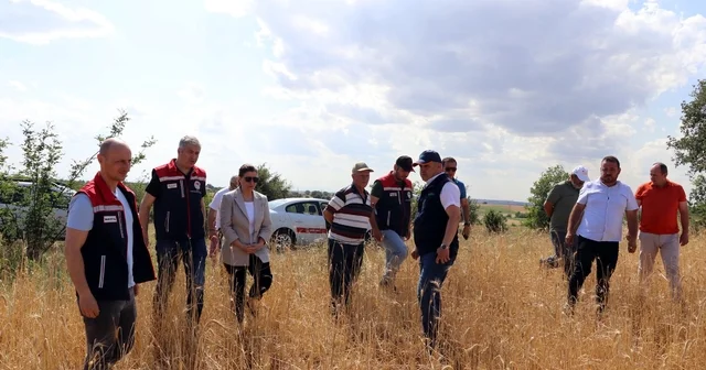 Edirne de dolu 10 bin dekar buğday ve ayçiçeği tarlasına zarar verdi Edirne Haberleri