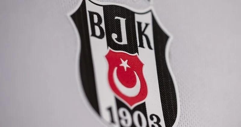 Beşiktaş yönetimine Dikilitaş projesi yetkisi