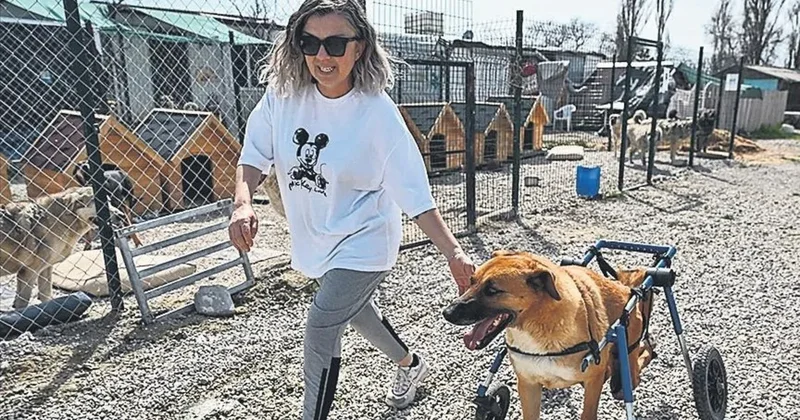 Mama bağışı kişisel servet oldu