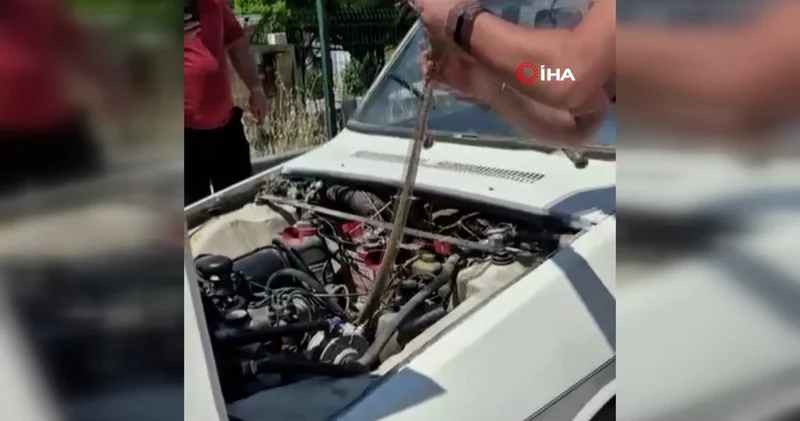 Aracın motoruna giren yılanı elindeki sopayla çıkardı