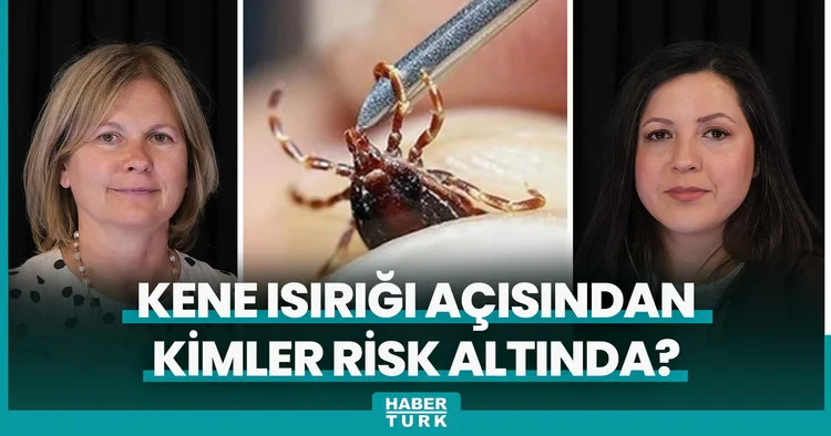 Kene Isırığıyla İlgili Merak Edilenler: Vücuttan Nasıl Çıkarılır? Nelere Dikkat Edilmeli?