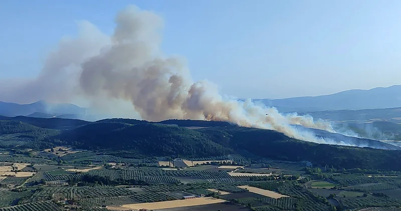 Manisa da kontrol altına alınan orman yangını yeniden başladı