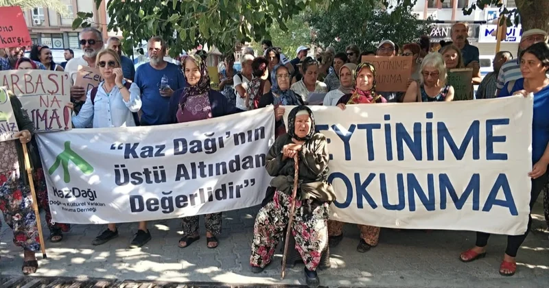 Zeytin köylüsü açlıktan ölür Sözcü Gazetesi