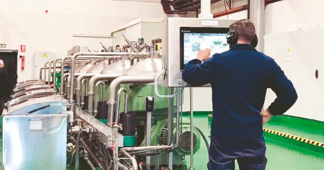 Zeytinyağı fiyatını depo dengeleyecek Ekonomi Haberleri