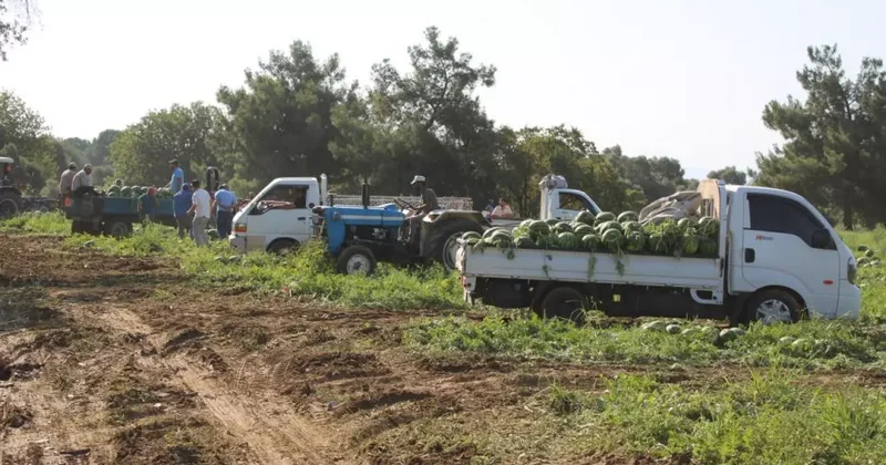 Çukurova dan sonra Türkiye nin gözü burada!