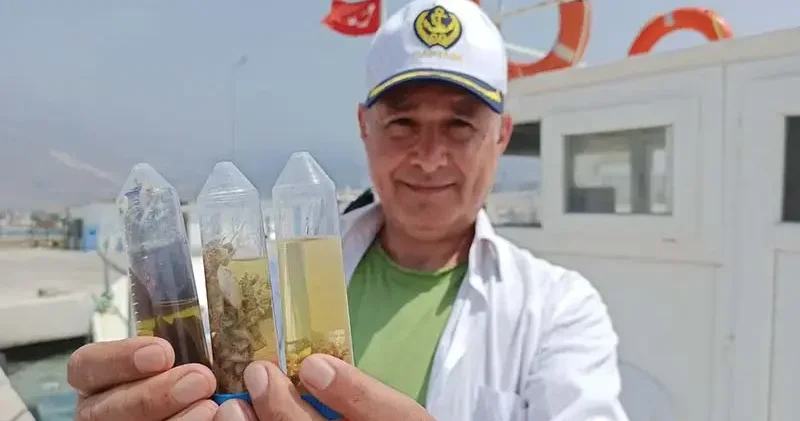 3 üniversiteden Doğu Akdeniz de çöp kirliliği araştırma projesi