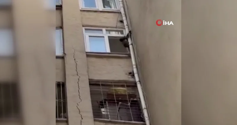 Firar eden maymundan binalar arası güvercin avı