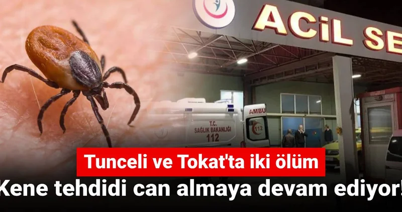 Kene tehdidi can almaya devam ediyor! Tunceli ve Tokat ta iki ölüm