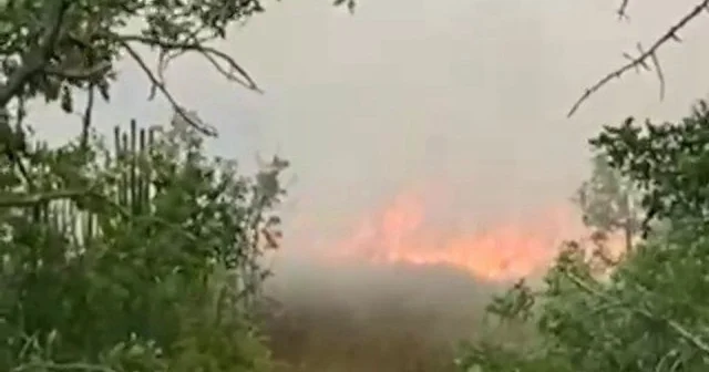 Karabük te anız yangını büyümeden söndürüldü VİDEO İZLE