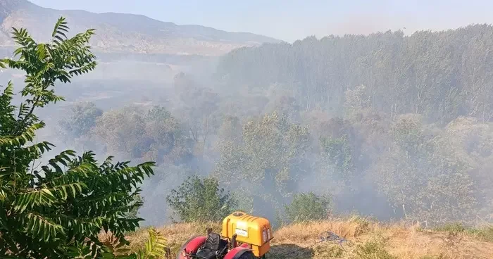 Eskişehir de ağaçlık alanda yangın: Alevler okul lojmanına sıçradı