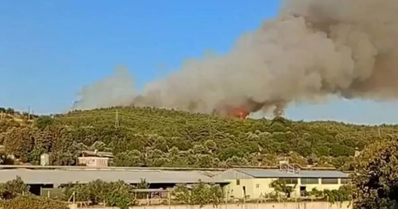 İzmir de orman yangını! Ekiplerin havadan ve karadan müdahalesi sürüyor