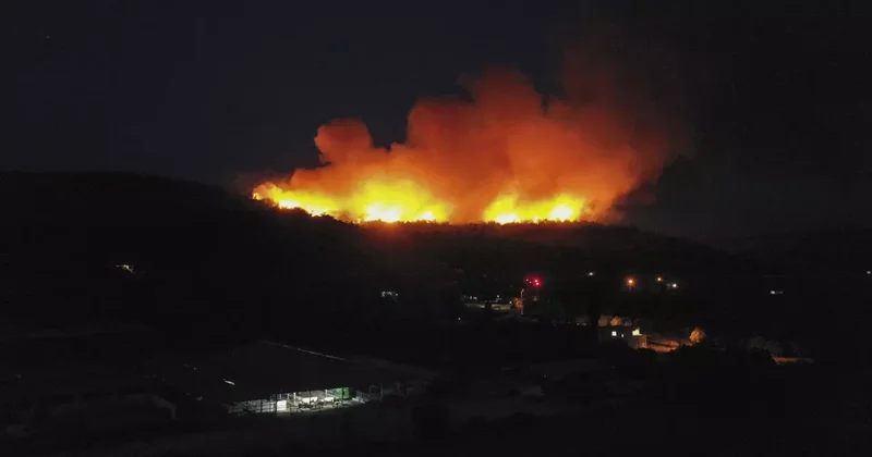 Son Dakika: İzmir de orman yangını çıktı