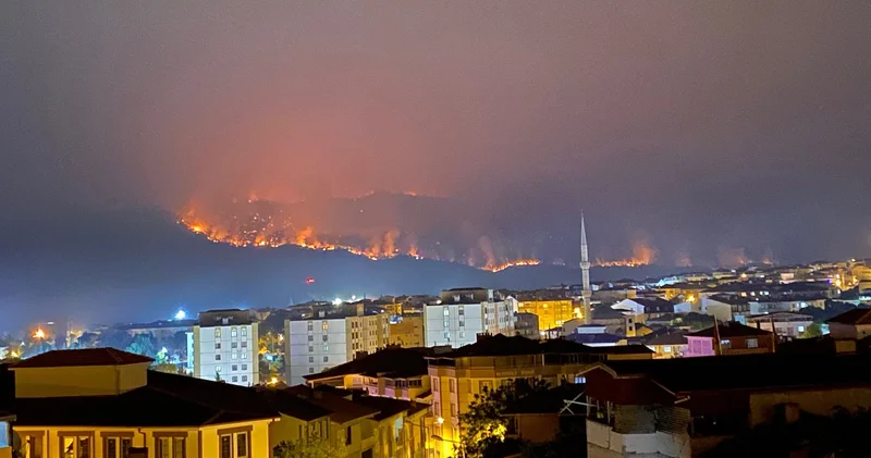 Orman yangını bir ili alarma geçirdi!