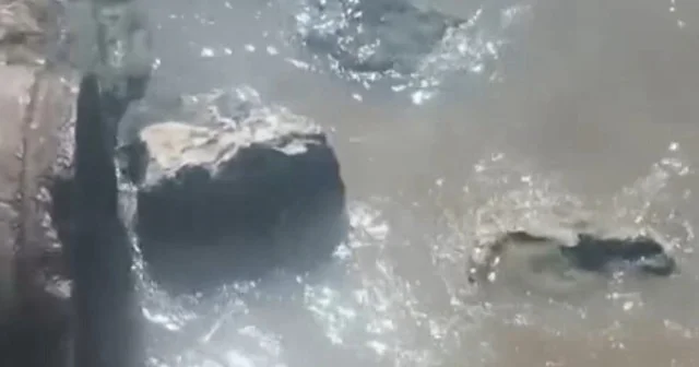 Denize atık su deşarj eden CHP li belediyeye bakanlıktan dev ceza VİDEO İZLE