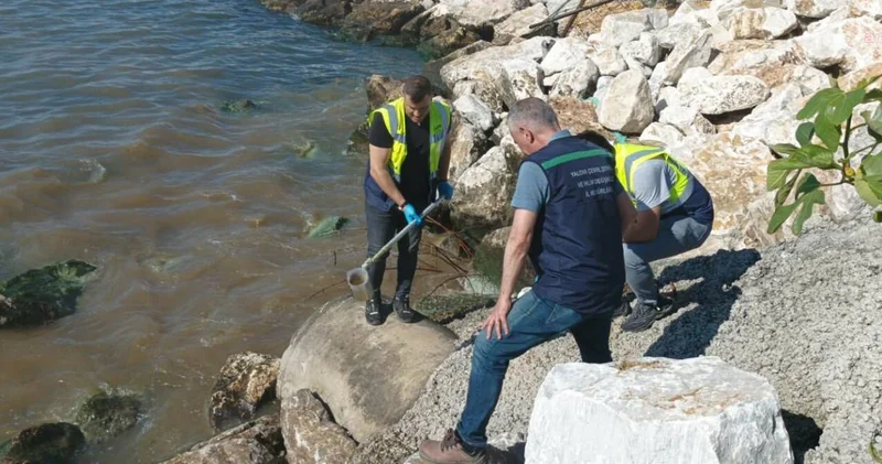 Yalova Belediyesi ne bakanlıktan ceza