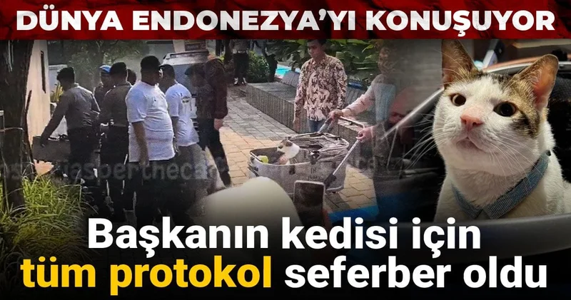 Dünya Endonezya’yı bu görüntülerle konuşuyor: Başkanın kedisi için tüm protokol seferber oldu
