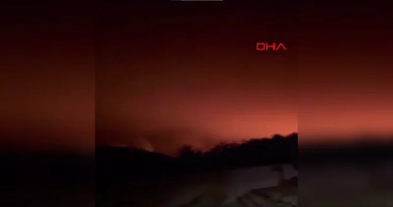 Sakarya da yangın nöbeti! Sabaha kadar beklediler