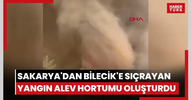 Sakarya da başlayıp Bilecik e sıçrayan yangın alev hortumu oluşturdu