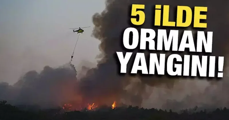 5 ilde orman yangını: Müdahaleler sürüyor, işte son durum!