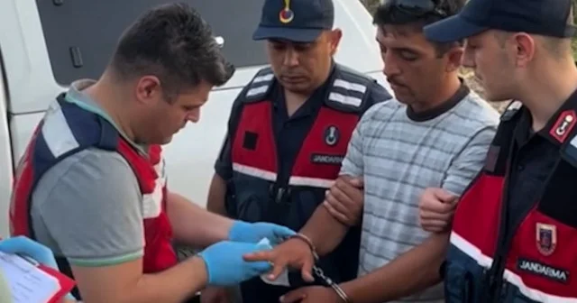Aydın da orman yangınını çıkaran şüpheli üzerinde yangın çıkarıcı madde ile yakalandı VİDEO İZLE