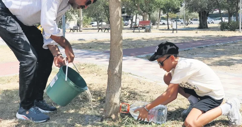 Belediyeye ağaç davası
