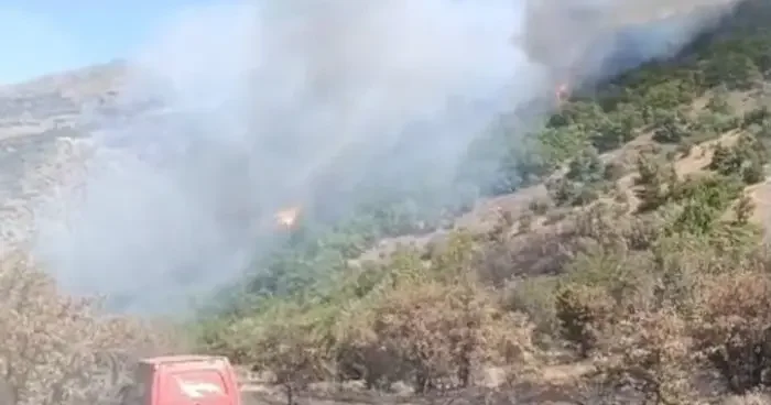 Malatya’daki orman yangını söndürüldü: 17 hektar alanın zarar gördü