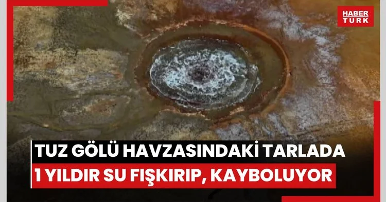 Tuz Gölü havzasındaki tarlada 1 yıldır su fışkırıp, kayboluyor