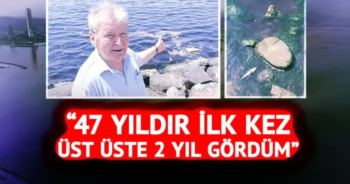 Ölümler yine görülmeye başladı! İzmir de panik katlandı: 47 yıldır ilk kez üst üste 2 yıl gördüm
