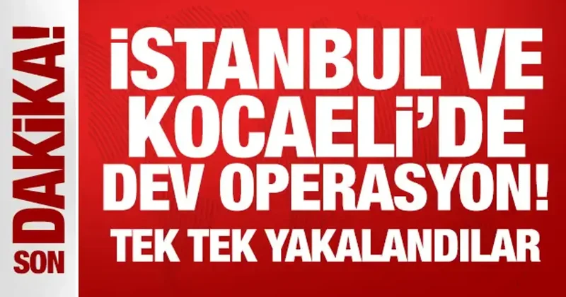 İstanbul ve Kocaeli de dev operasyon! Tek tek yakalandılar