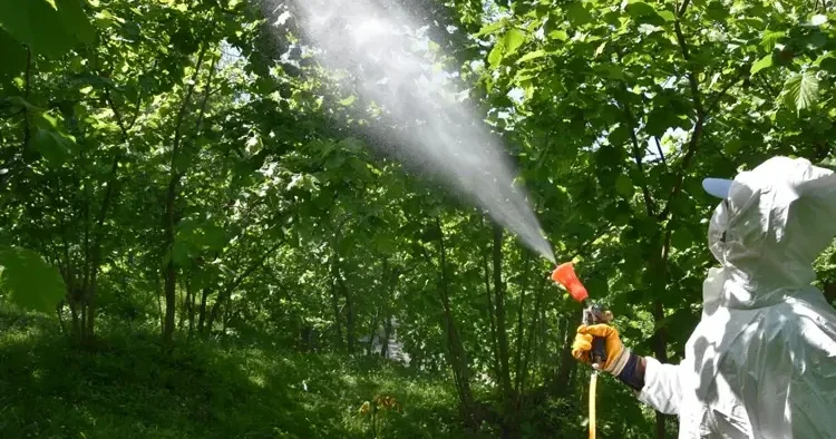 Bitki reçetesi geliyor! Bakanlıktan pestisitleri önlemek için yeni uygulama