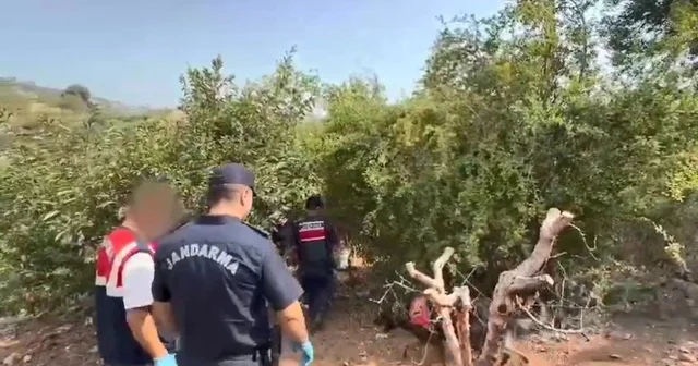 Bahçesini kenevir tarlasına çeviren şüpheli tutuklandı Mersin Haberleri