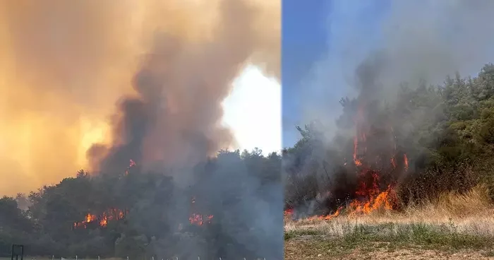 İzmir Menderes te korkutan orman yangını! 8 uçak, 9 helikopter müdahale ediyor