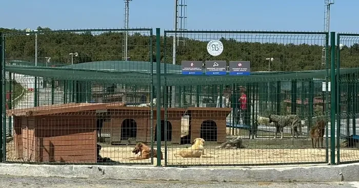 Valilik acilen toplatılmaları için talimat vermişti! Ekipler harekete geçti