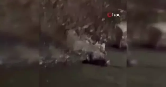 Nesli tehlike altında olan Su samuru balık ziyafeti yaparken görüntülendi
