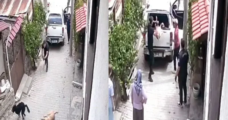 Bayılttıkları köpekleri aracın kasasına fırlattılar; o anlar kamerada