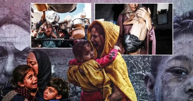 Birleşmiş Milletler Gazze de ilk kez resmi olarak kıtlık ilan etti Ortadoğu Haberleri