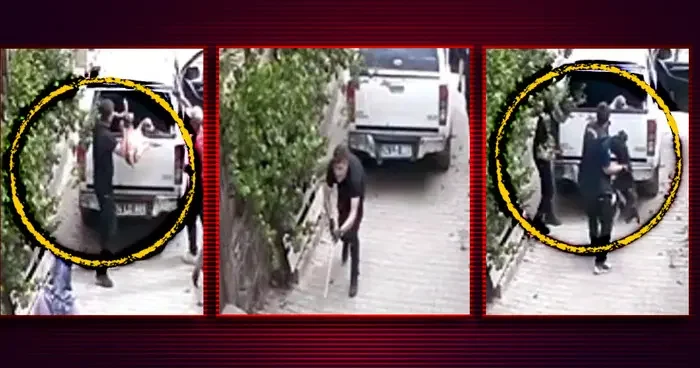 Aracın kasasına eşyaymış gibi fırlattılar! Bolu da tepki çeken görüntüler: Sokak köpeklerine yapılan muamele kamerada