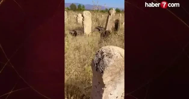 Asırlık Türkmen Mezarlığı bakımsızlığa terk edildi