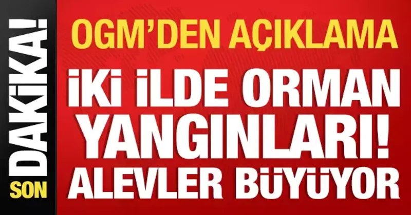 İzmir ve Çanakkale de orman yangınları