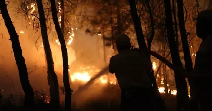 Muğla da orman yangını riskine karşı uyarı