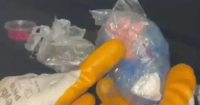 Narkotik ekipleri tacirin gizli zulasını böyle patlattı VİDEO İZLE