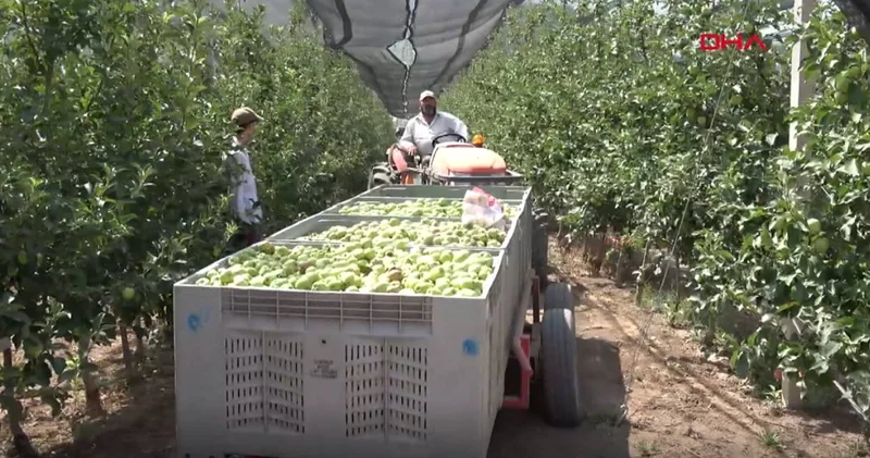 Don vurmuştu: Market fiyatı yükselecek