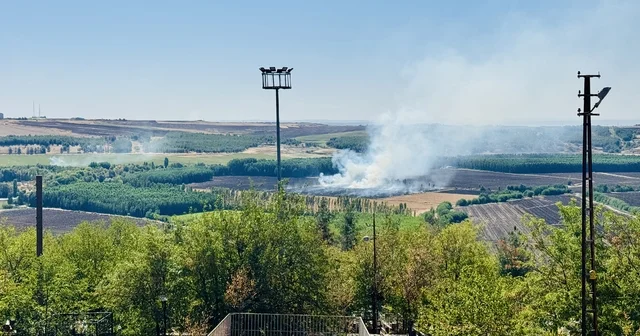 Diyarbakır Hevsel Bahçeleri nde çıkan anız yangın söndürüldü Diyarbakır Haberleri