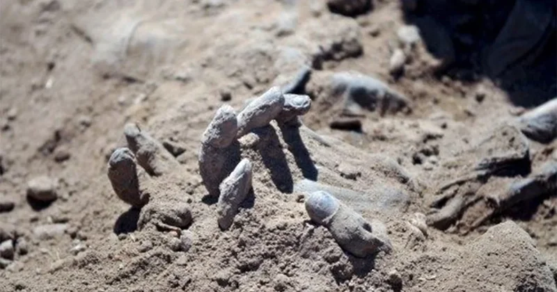 Suriye nin başkentinde toplu mezar bulundu Sözcü Gazetesi