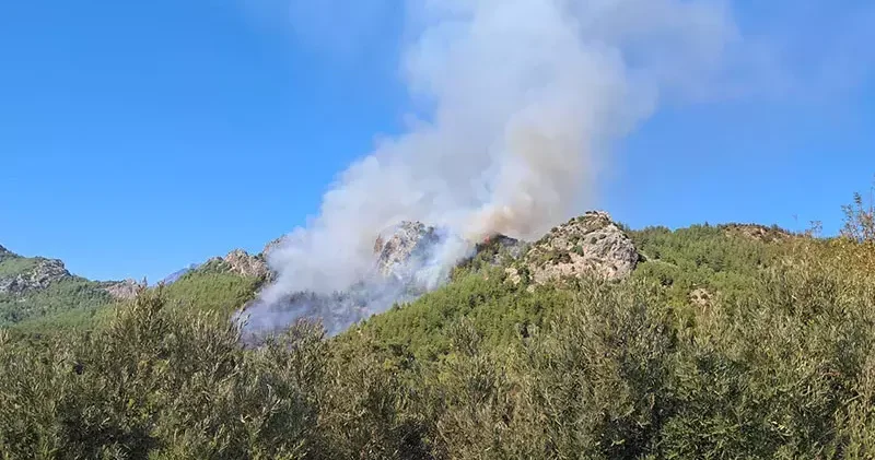 Serik teki orman yangınına ilişkin 1 gözaltı