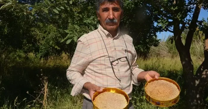 Arguvan da güvenilir bal satışı ve kalite bilgisi