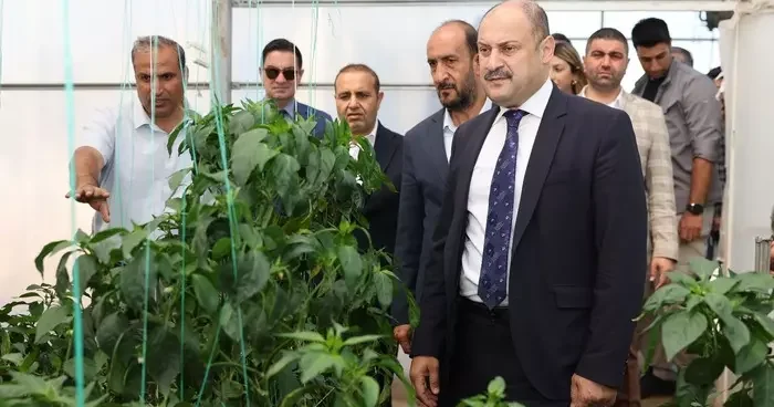 Şanlıurfa Büyükşehir Belediyesi’nden toprak işlemesiz tarım uygulamalarıyla çiftçiye örnek