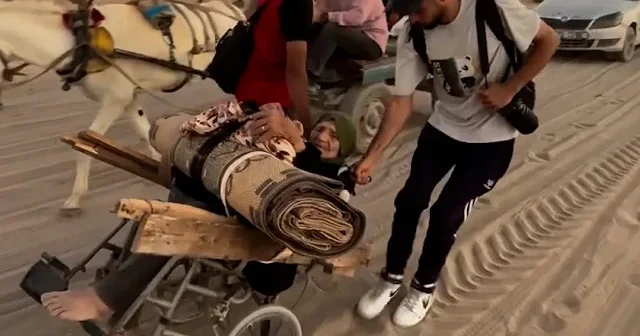 Tekerlekli sandalyeyle soykırımdan kaçıyor VİDEO İZLE