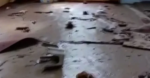 Artvin’in Borçka ilçesindeki sel sonrası Karşıköy Camii çamur içinde kaldı VİDEO İZLE